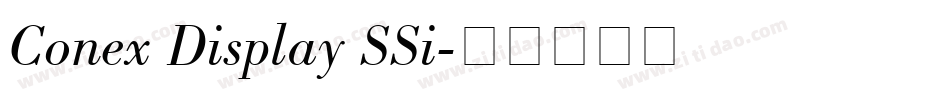 Conex Display SSi字体转换